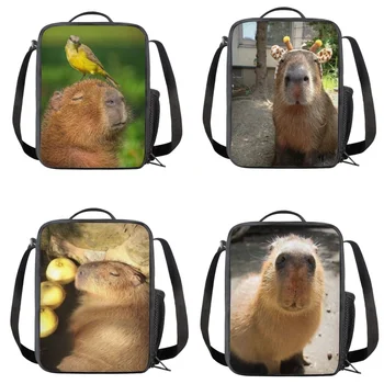 Capybara Moțăia La Soare Imprimare Izolate Sac de masa de Prânz pentru Copii Portabil Termică Cooler Prânz Tote Grădiniță Cutie de Prânz