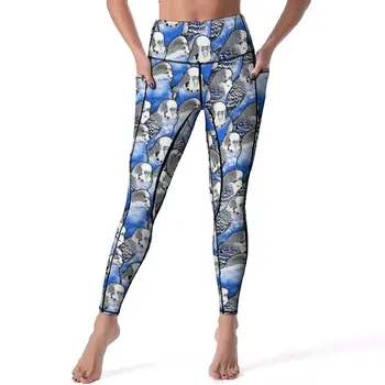 Rece Papagal Calitate Jambiere Papagalul Albastru Model De Funcționare Yoga Pantaloni Femei Sexy Dulce Leggins Întinde De Sport Colanti